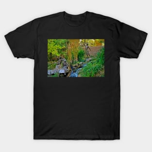 Santa Fe Sculpture Garden Study 3 T-Shirt